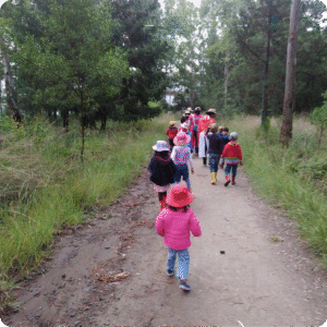 Caminata bosque prescolar waldorf indajani