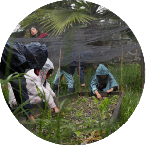 Jardinería Primaria